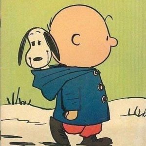 Meet your Posher, Robin